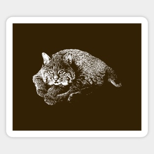 Bobcat Sticker